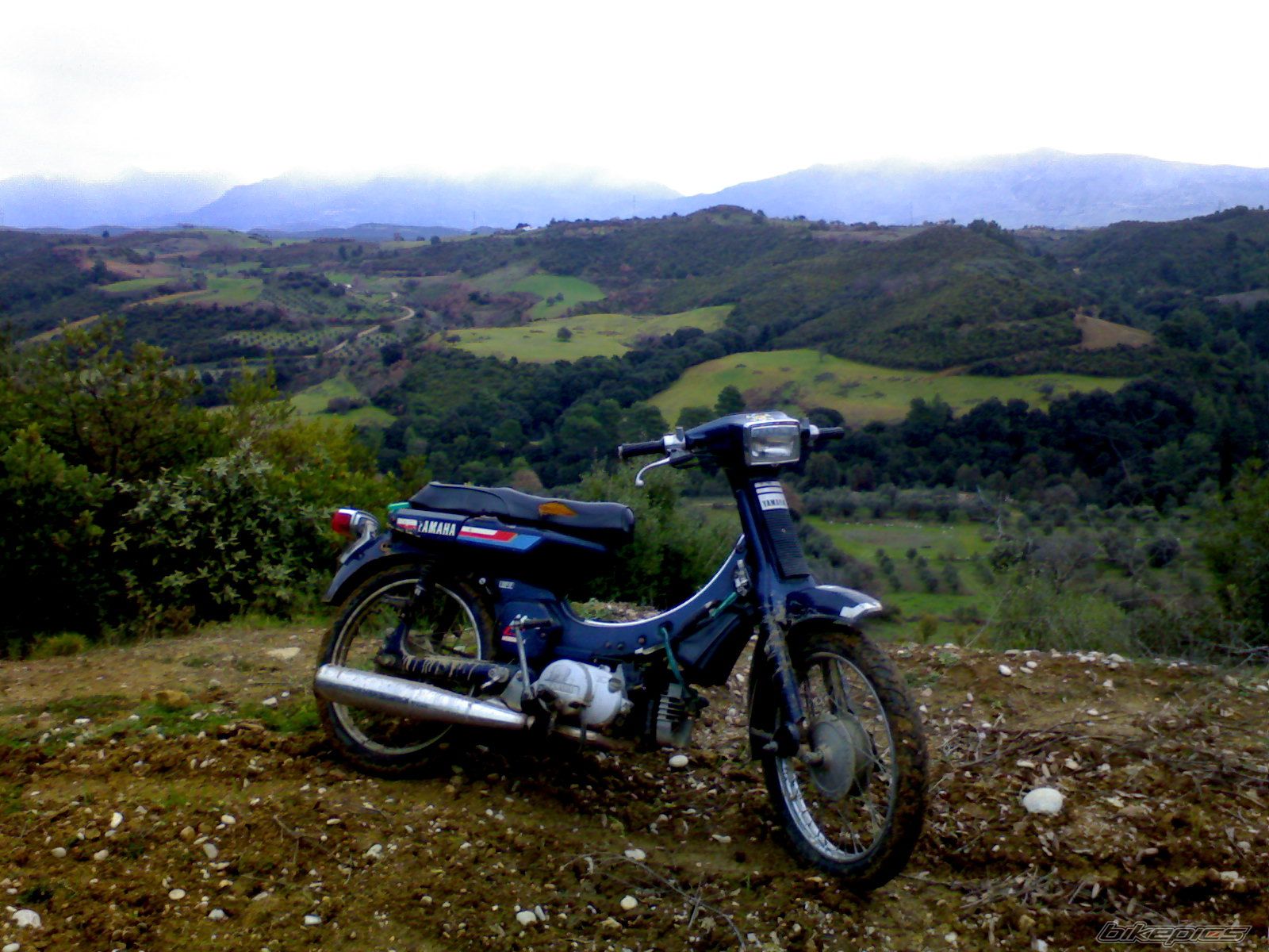    | Picture 802906 motorcycle photo