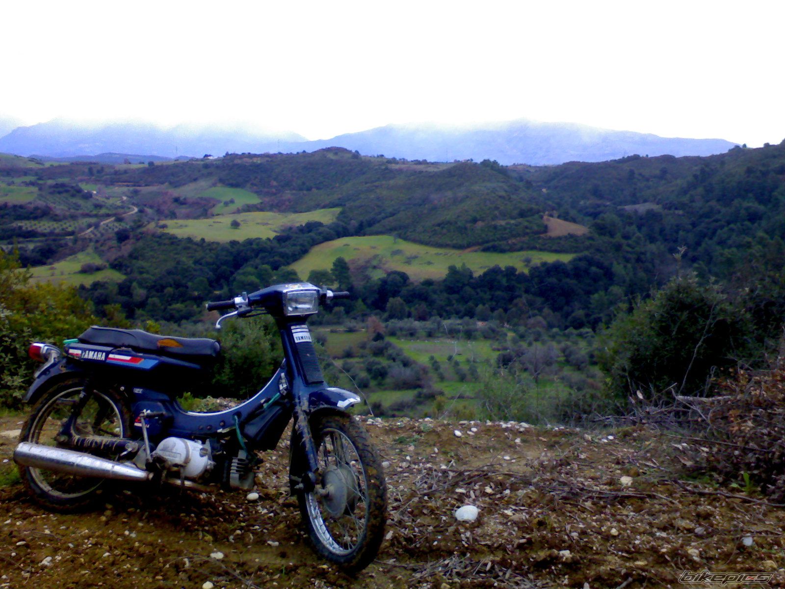    | Picture 802907 motorcycle photo