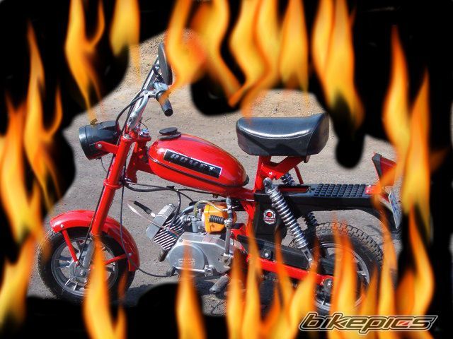 1986 ROMET MOTORYNKA M2 | Picture 803127 motorcycle photo