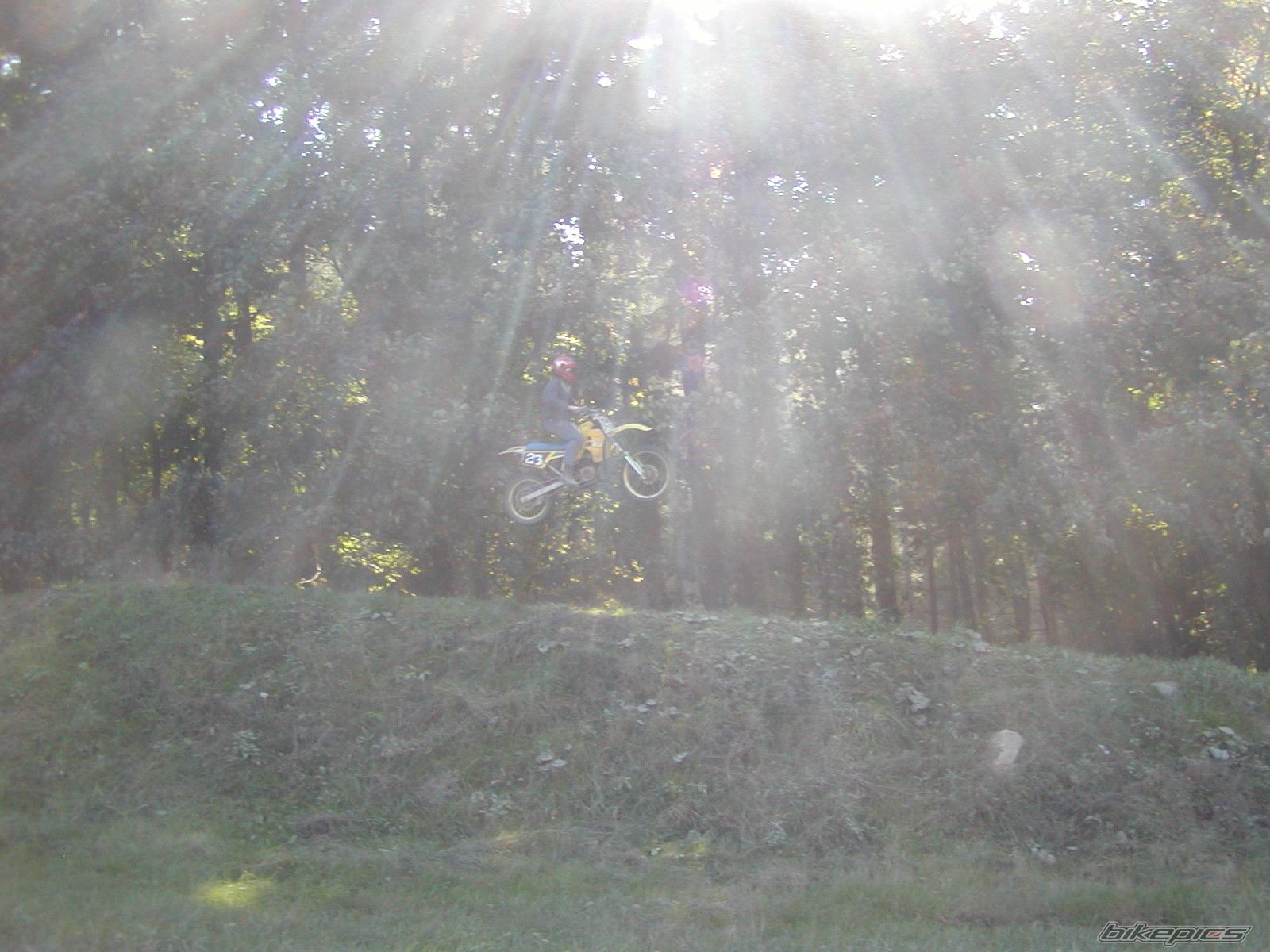 1993 SUZUKI RM 250 | Picture 804295 motorcycle photo