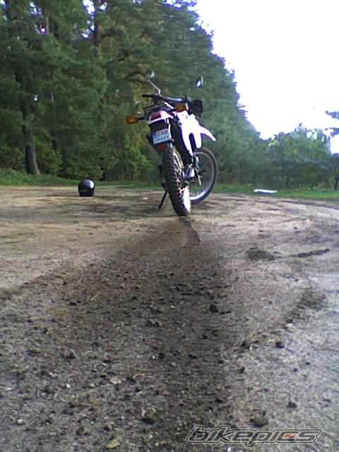 1995 YAMAHA DT 80 | Picture 804301 motorcycle photo