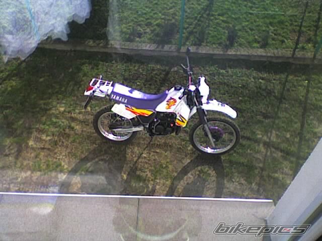 1995 YAMAHA DT 80 | Picture 804347 motorcycle photo