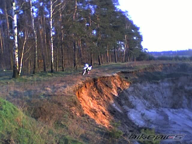 1995 YAMAHA DT 80 | Picture 804390 motorcycle photo