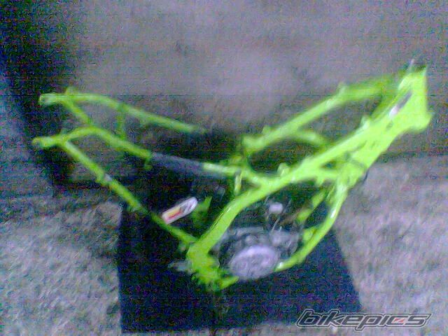 1998 KAWASAKI KX 250 | Picture 804764 motorcycle photo