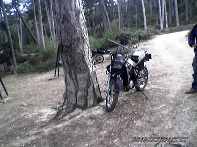 1997 YAMAHA DT 125RE | Picture 804806 motorcycle photo