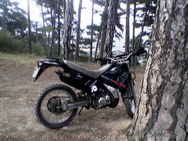 1997 YAMAHA DT 125RE | Picture 804809 motorcycle photo
