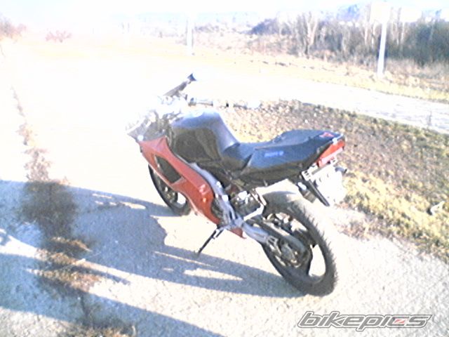 1996 APRILIA RS 50 | Picture 804839 motorcycle photo