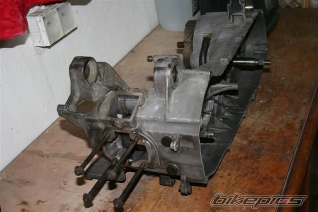 2006 MALAGUTI F 12 50 | Picture 805257 motorcycle photo