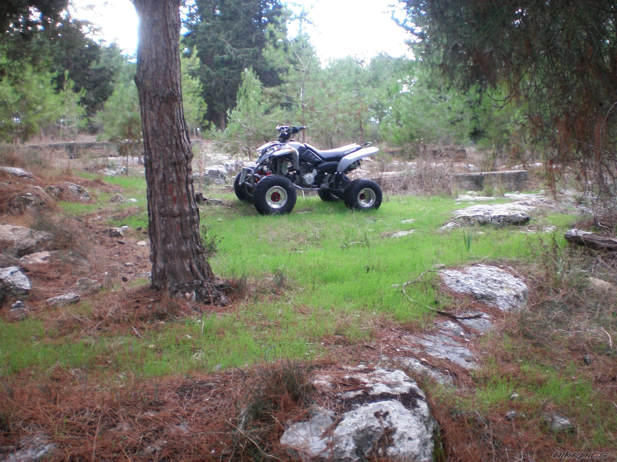 2004 POLARIS PREDATOR 500 | Picture 805314 motorcycle photo