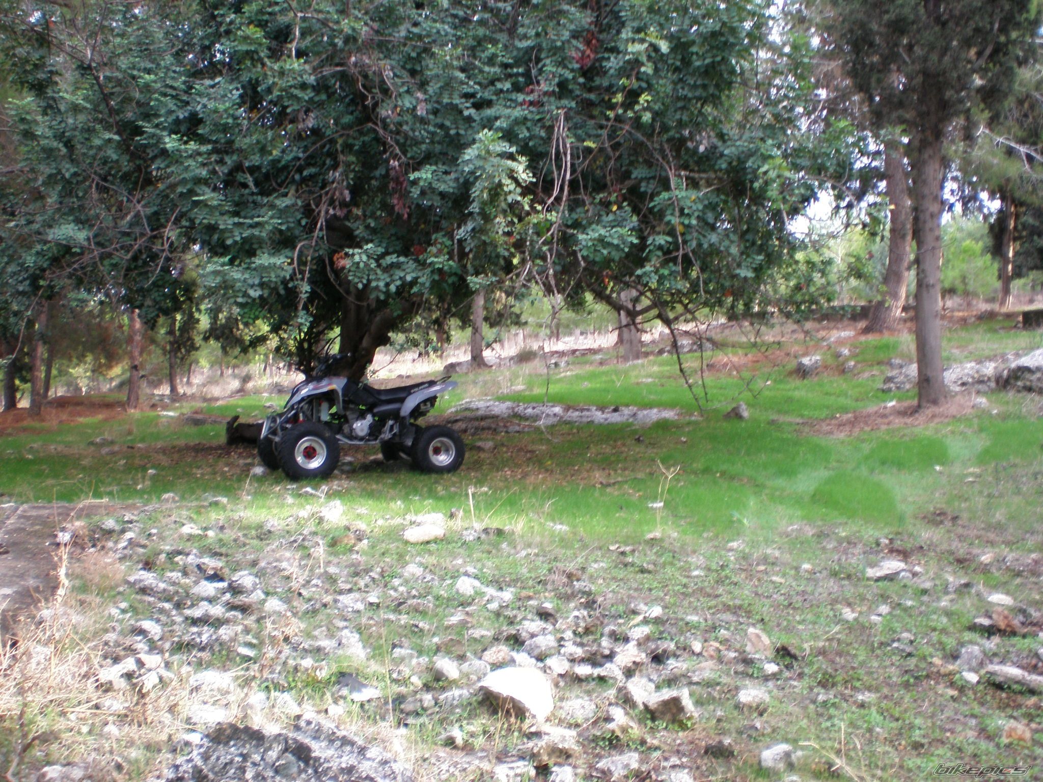 2004 POLARIS PREDATOR 500 | Picture 805315 motorcycle photo