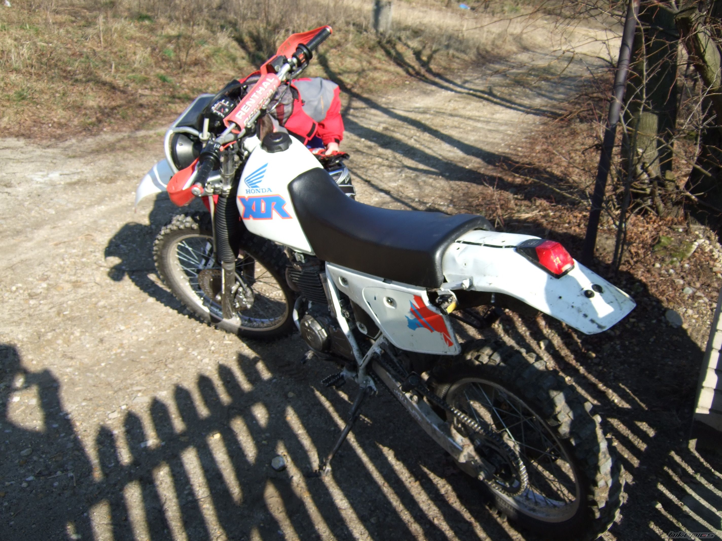 1993 HONDA XLR 250 | Picture 805537 motorcycle photo