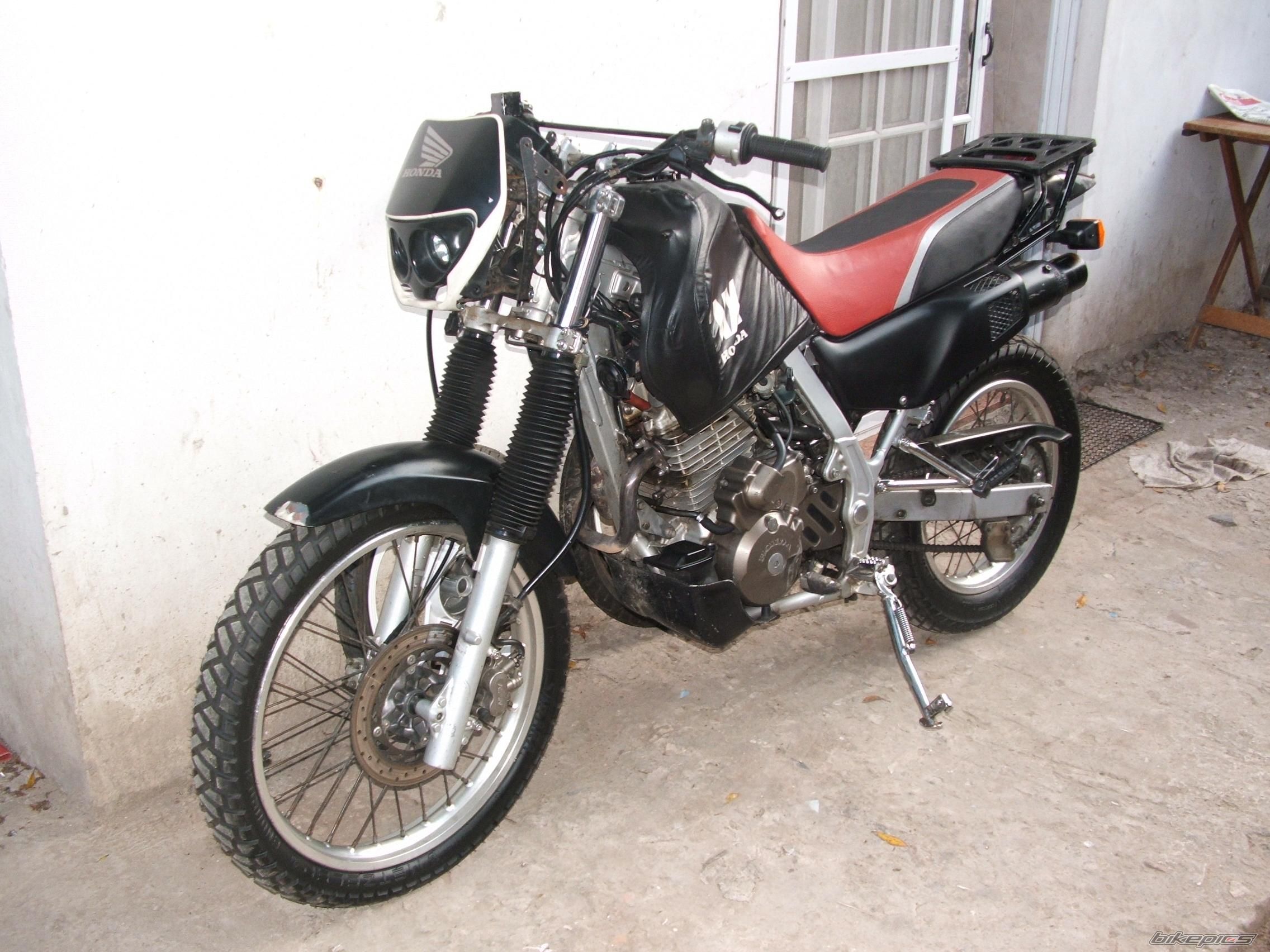 1988 HONDA NX 650 DOMINATOR | Picture 805609 motorcycle photo