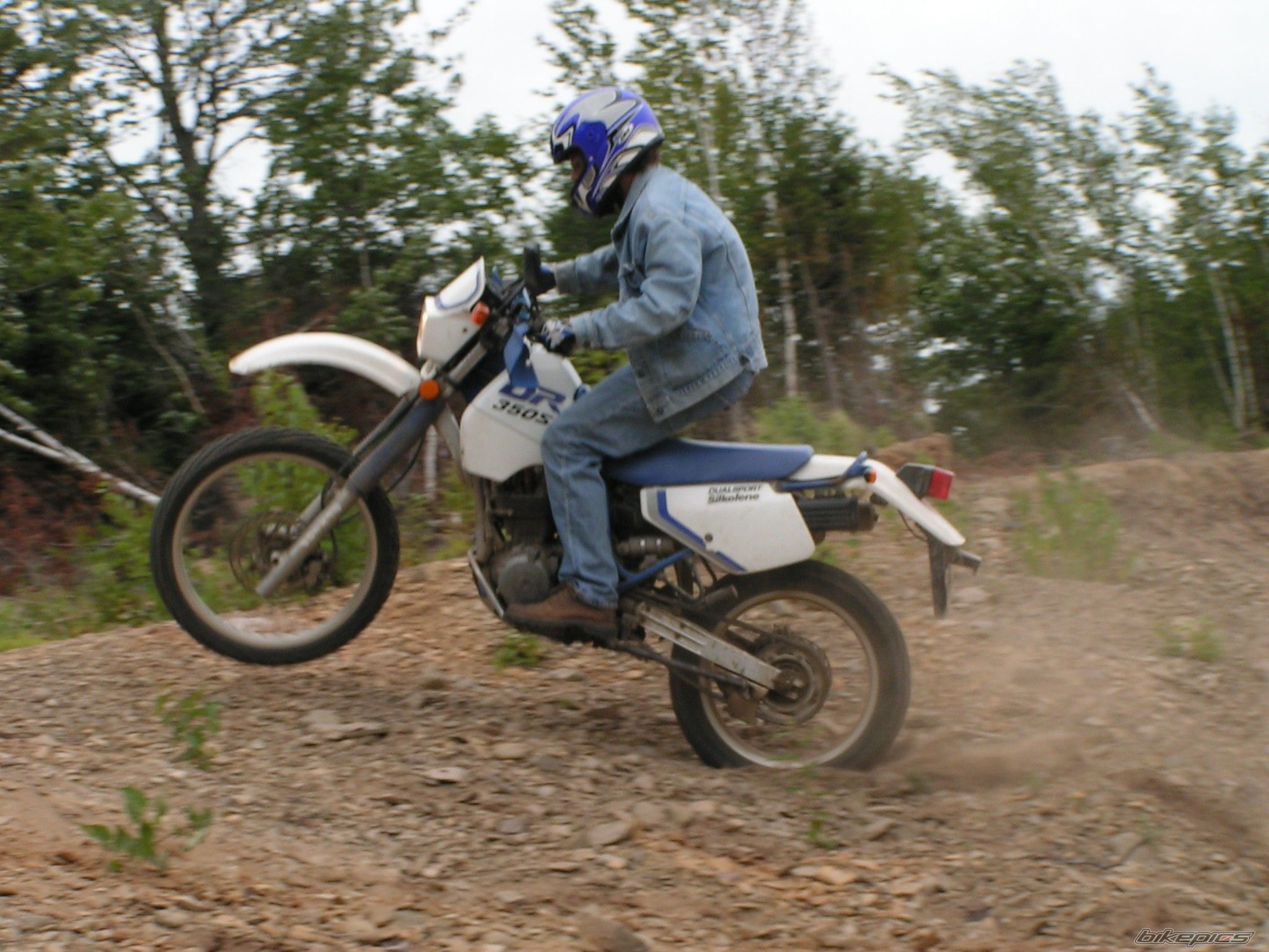 1991 SUZUKI DR 350 | Picture 805889 motorcycle photo