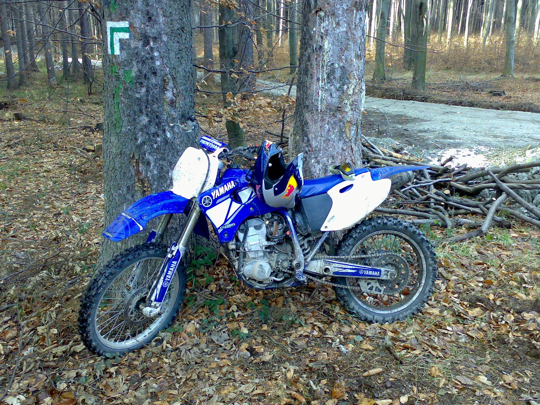 2000 YAMAHA YZ 426F | Picture 806165 motorcycle photo