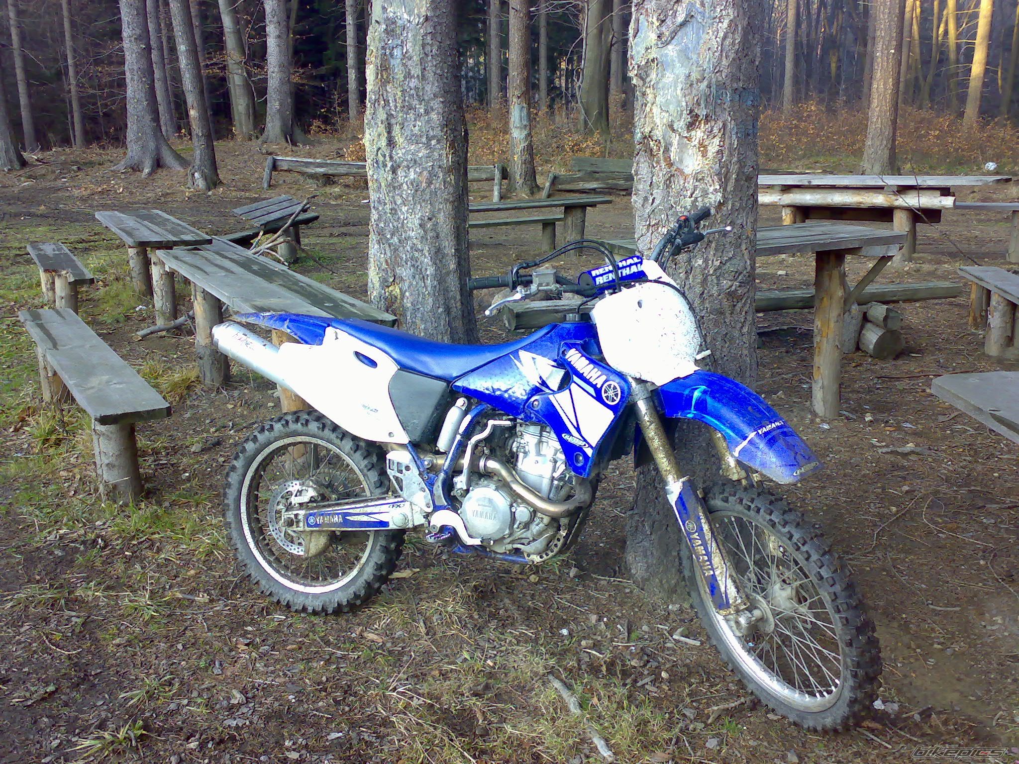 2000 YAMAHA YZ 426F | Picture 806234 motorcycle photo