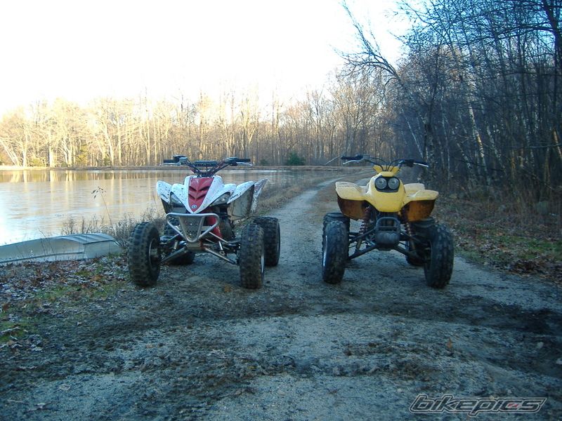 2004 YAMAHA RAPTOR 350 | Picture 806311 motorcycle photo