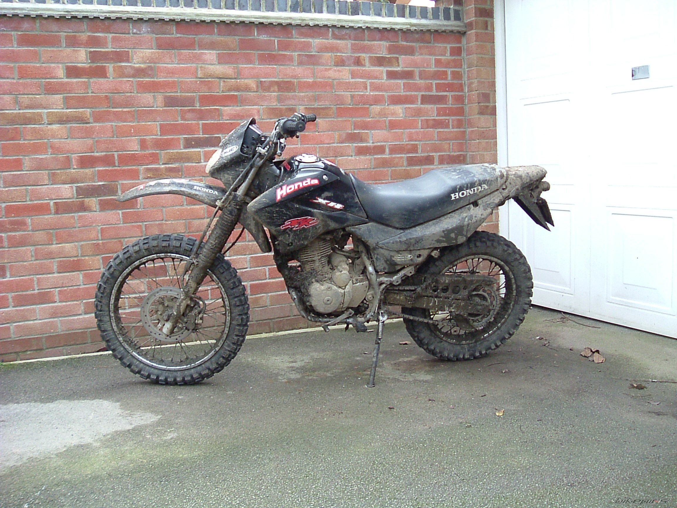 2007 HONDA XR 125 | Picture 806628 motorcycle photo
