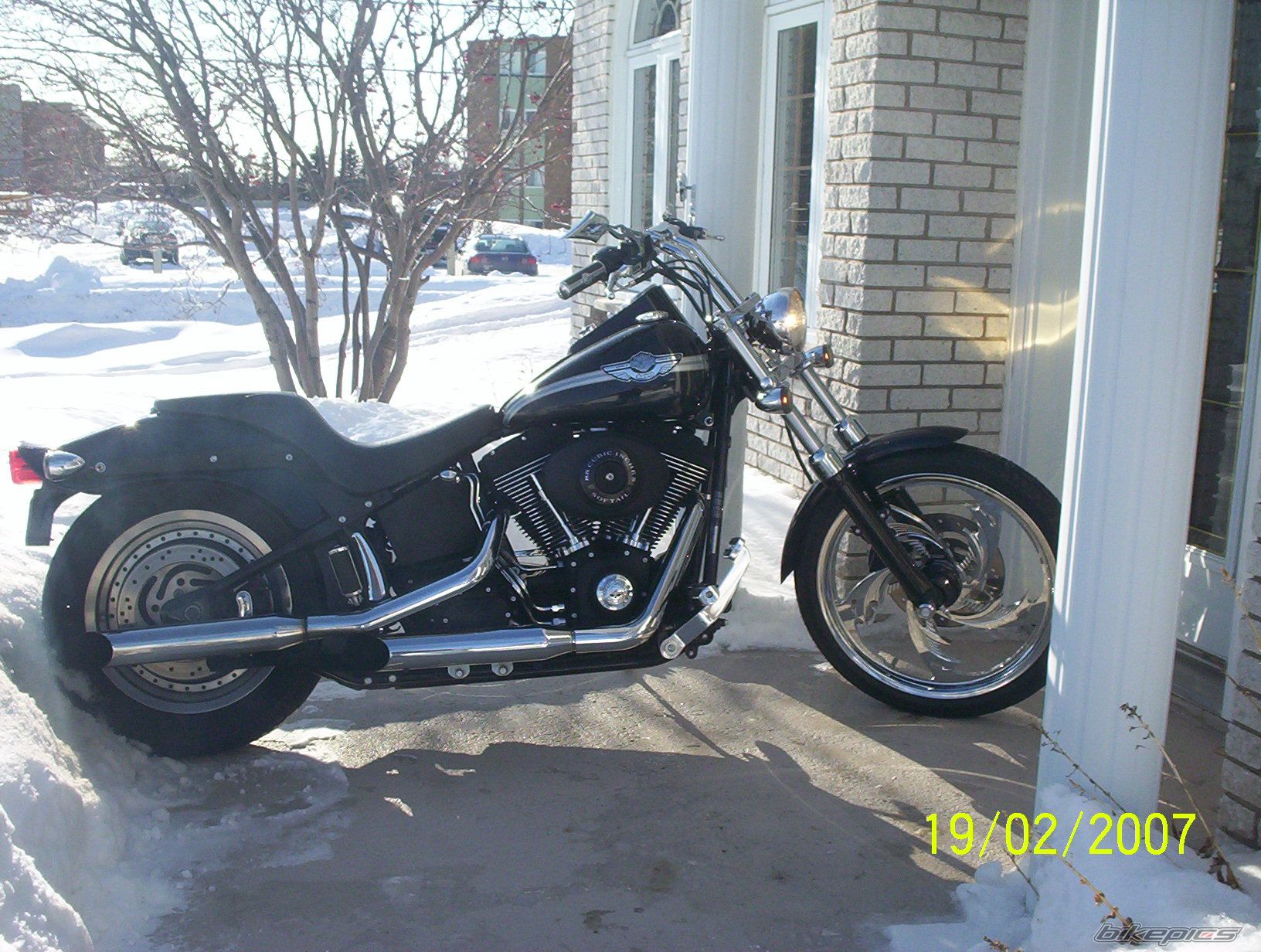 2003 HARLEY DAVIDSON FXSTB | Picture 806933 motorcycle photo