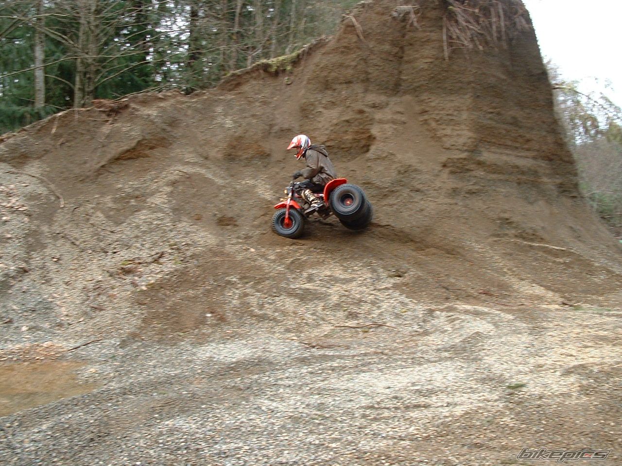 1984 HONDA ATC 110 | Picture 807232 motorcycle photo