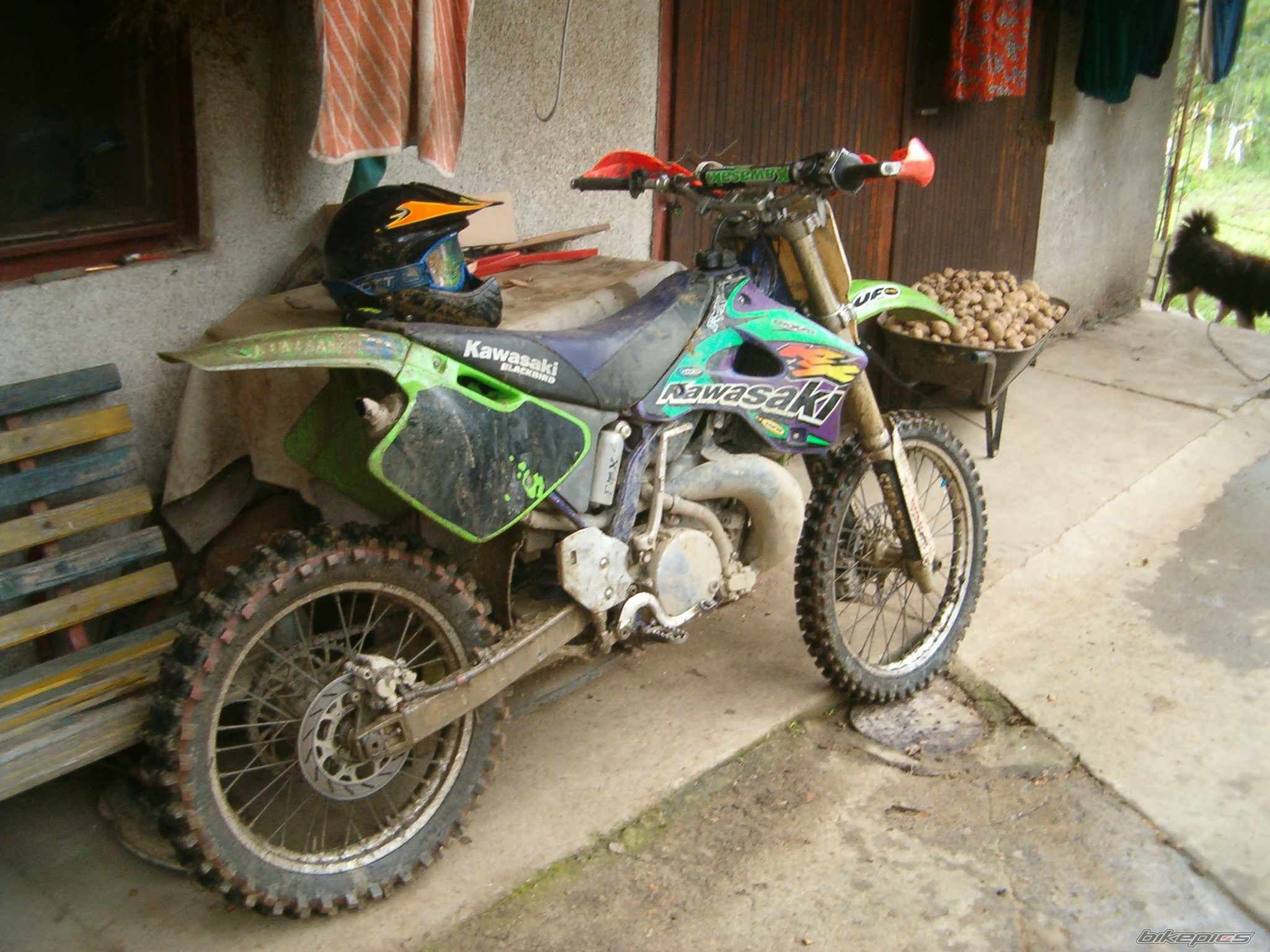 1997 KAWASAKI KX 250 | Picture 807648 motorcycle photo