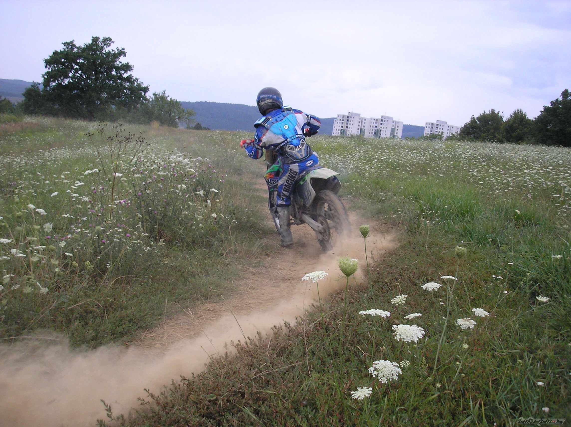 1997 KAWASAKI KX 250 | Picture 807676 motorcycle photo