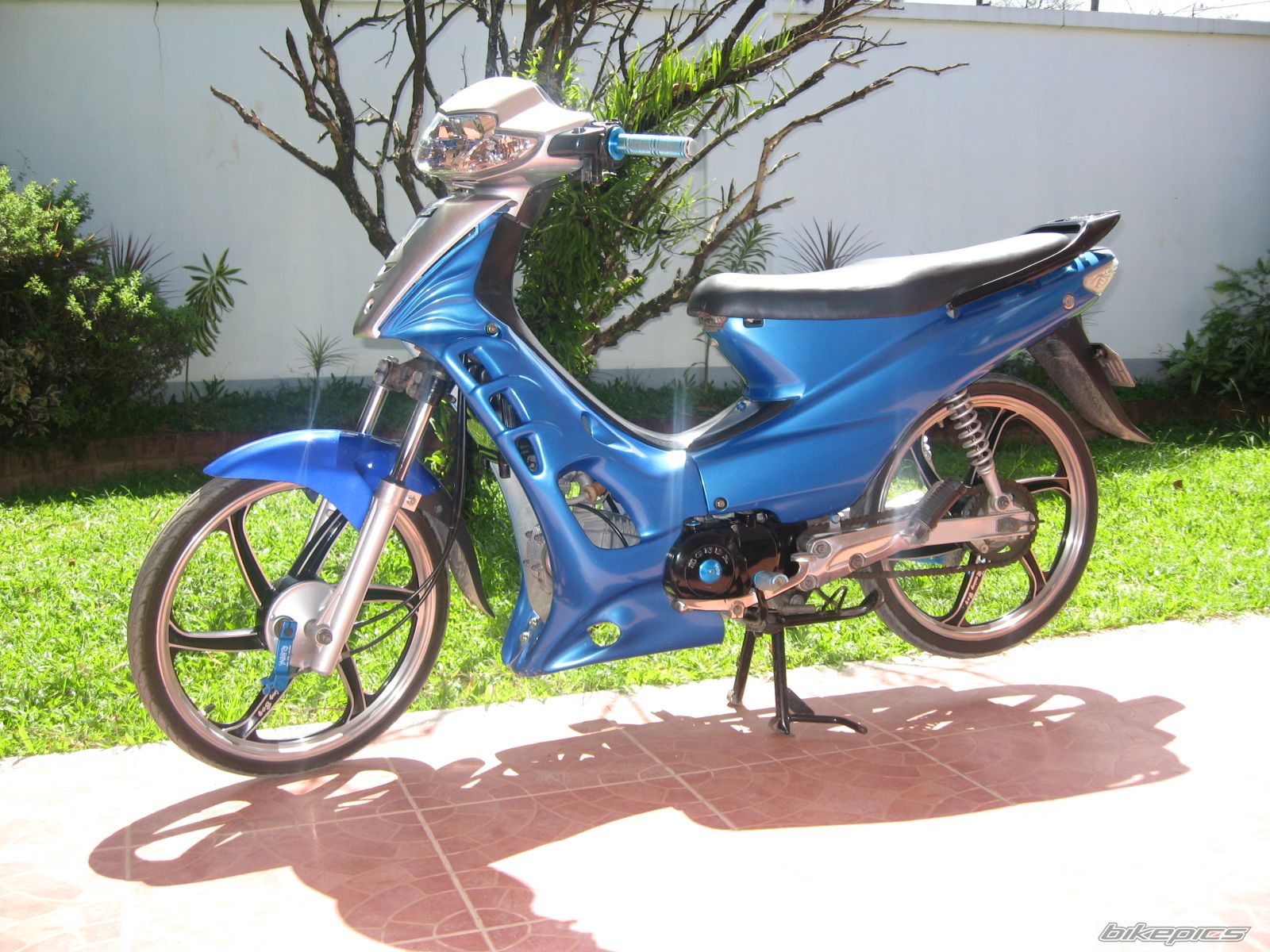 2005 HONDA WAVE 100 | Picture 808493 motorcycle photo