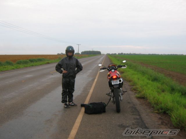 2005 HONDA XR 250 | Picture 809096 motorcycle photo