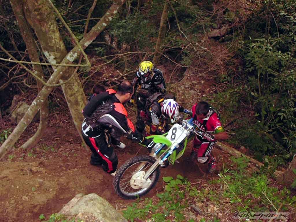 1992 KAWASAKI KX 250 | Picture 80988 motorcycle photo