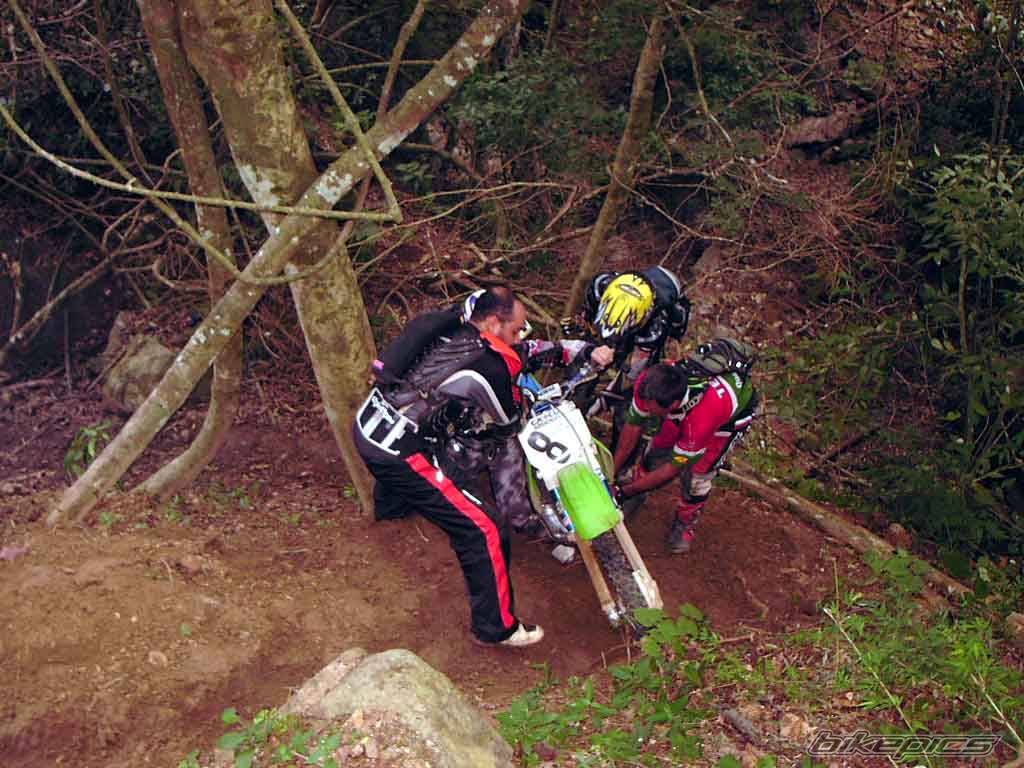 1992 KAWASAKI KX 250 | Picture 80989 motorcycle photo