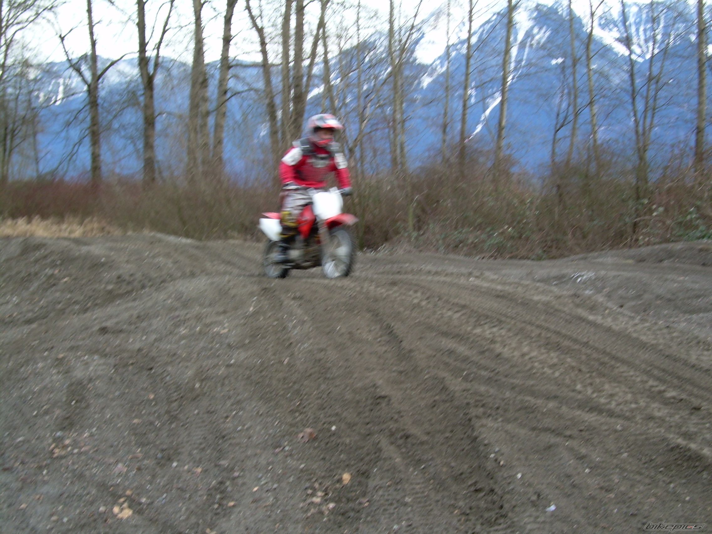 2005 HONDA CRF 70 | Picture 810778 motorcycle photo
