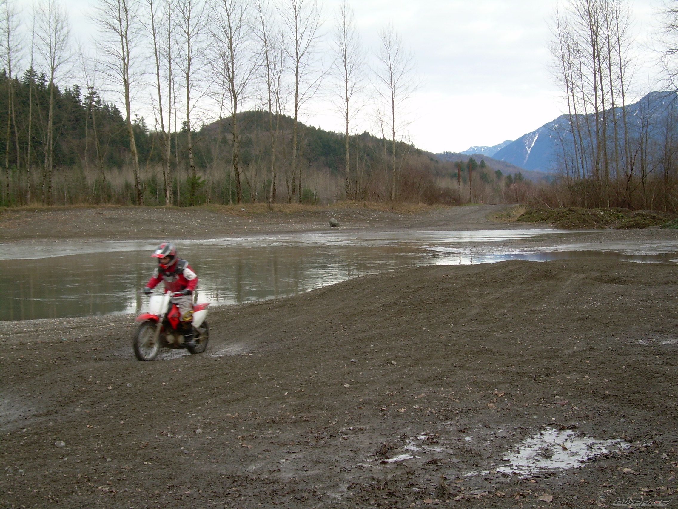 2005 HONDA CRF 70 | Picture 810779 motorcycle photo