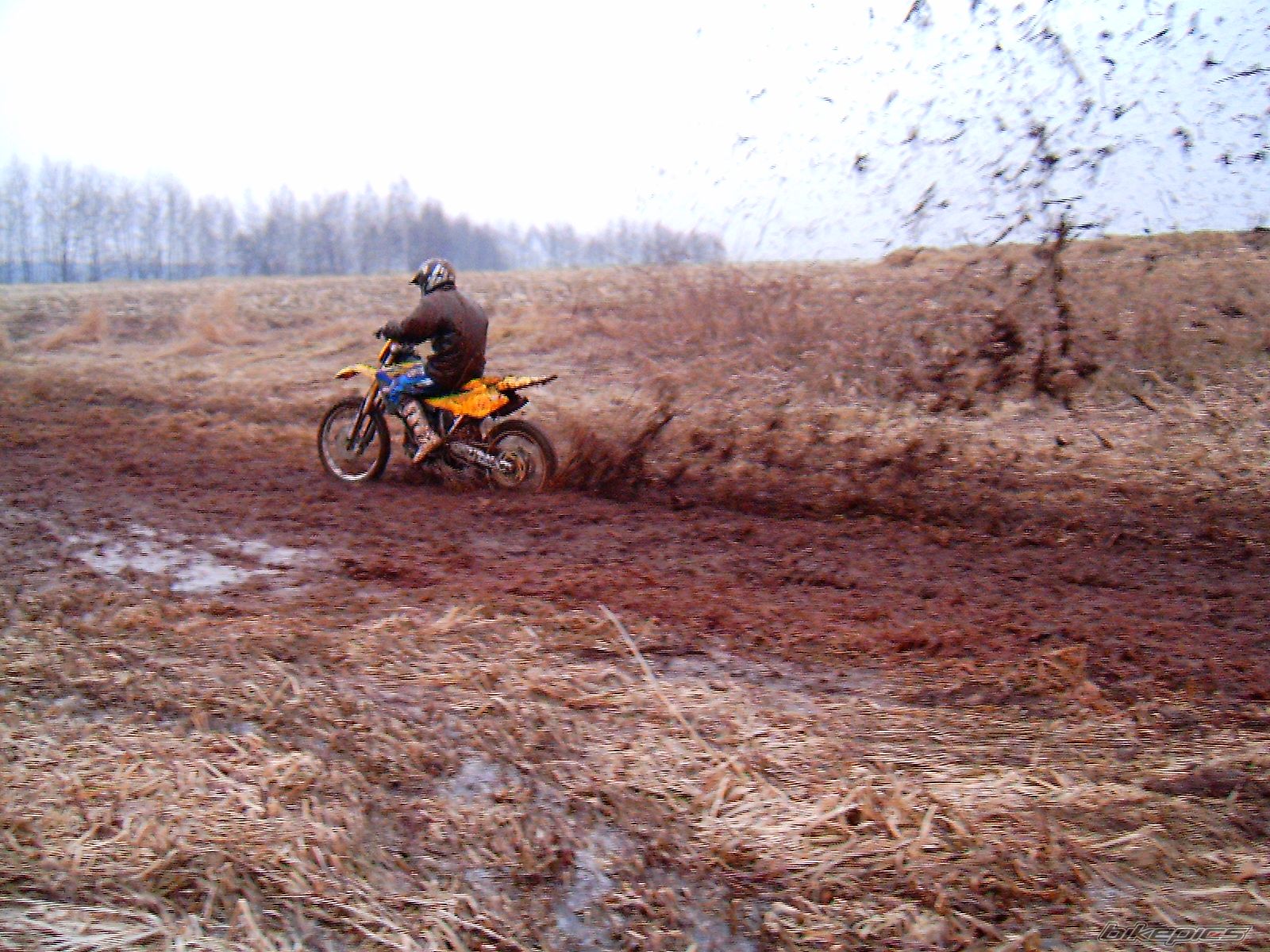 2000 HUSQVARNA WR 125 | Picture 811630 motorcycle photo