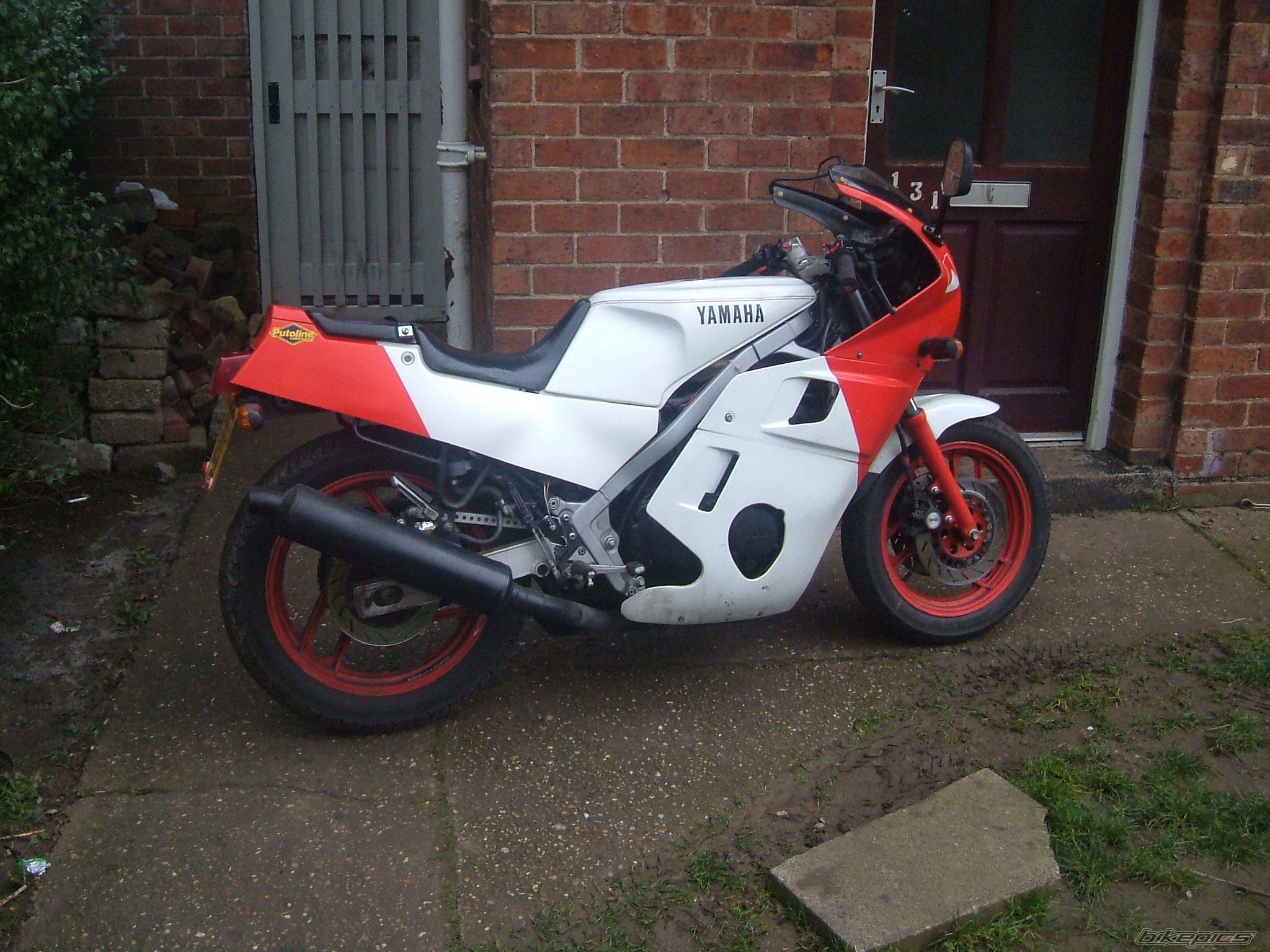 1988 YAMAHA FZ 600 | Picture 811772 motorcycle photo