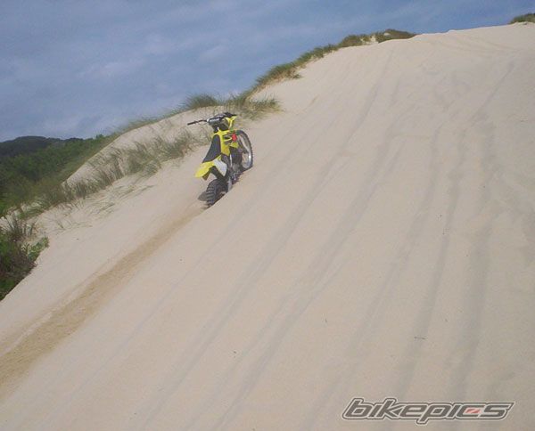 2002 SUZUKI RM 250 | Picture 811826 motorcycle photo