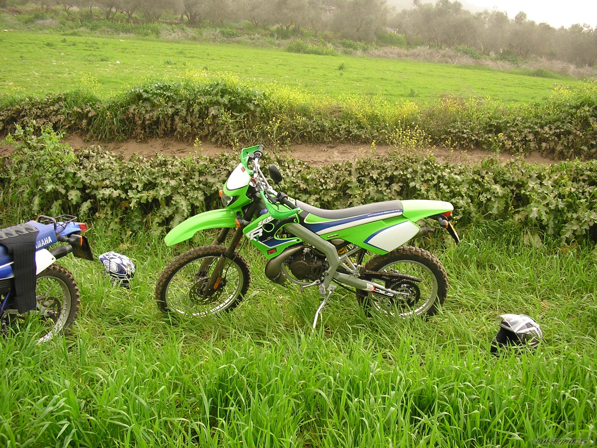 2002 DERBI SENDA R 50 | Picture 811908 motorcycle photo