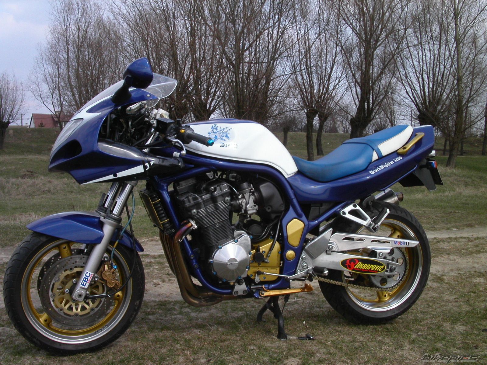 1999 SUZUKI BANDIT 1200 | Picture 812170 motorcycle photo