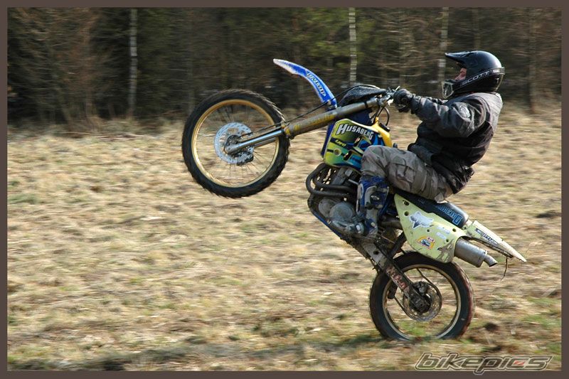 1995 HUSABERG FE 600 | Picture 813205 motorcycle photo