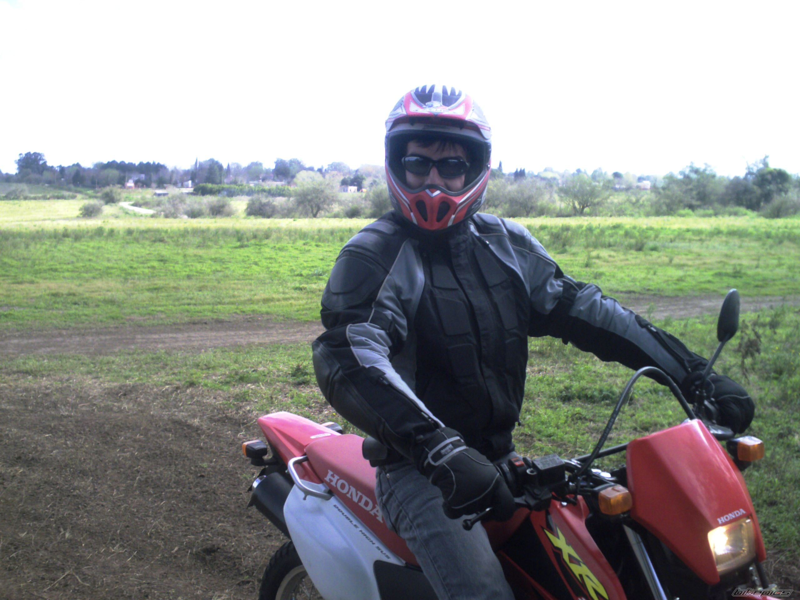 2006 HONDA XR 250 | Picture 813236 motorcycle photo