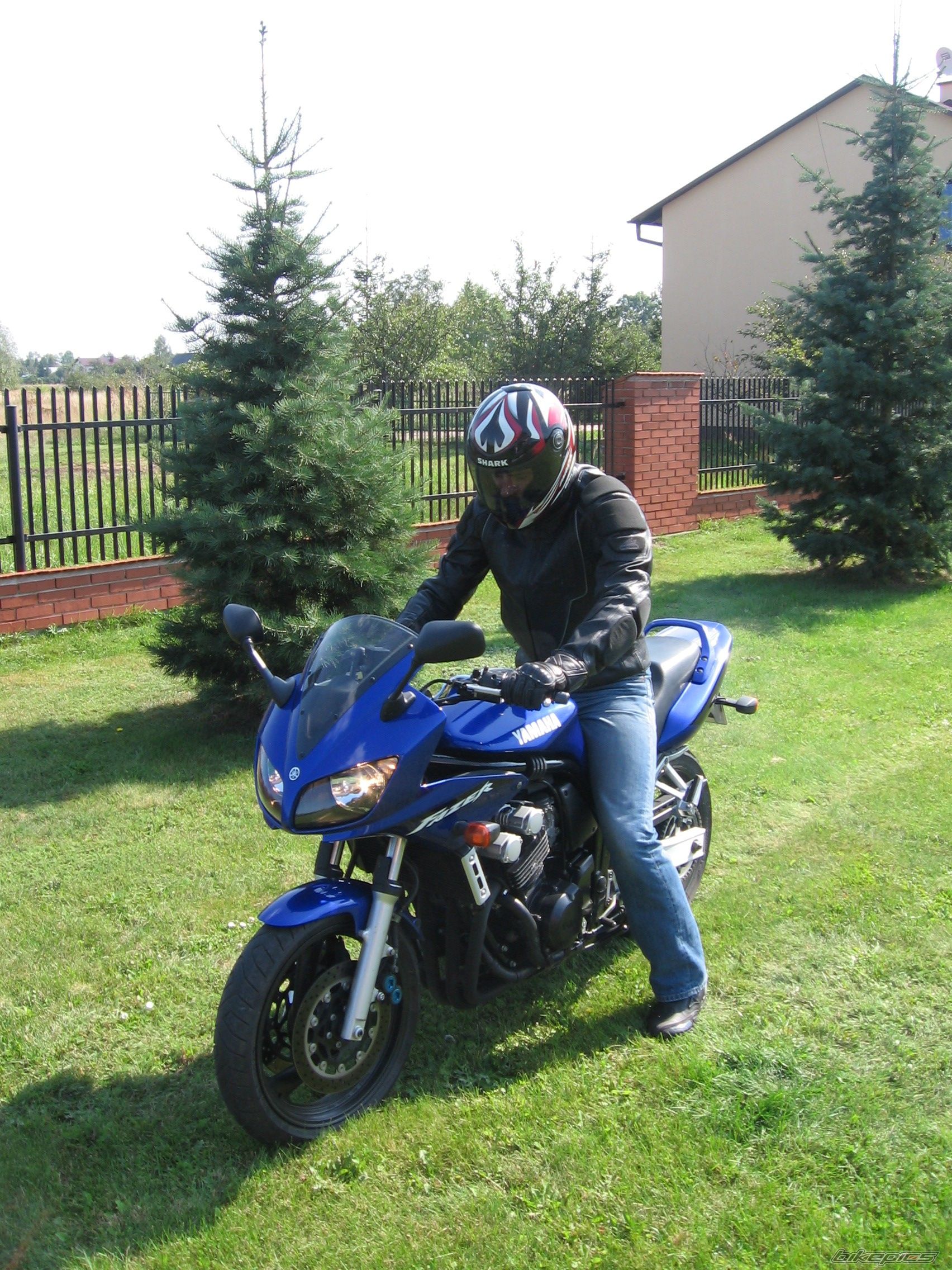 2002 YAMAHA FZS 600 FAZER | Picture 813251 motorcycle photo