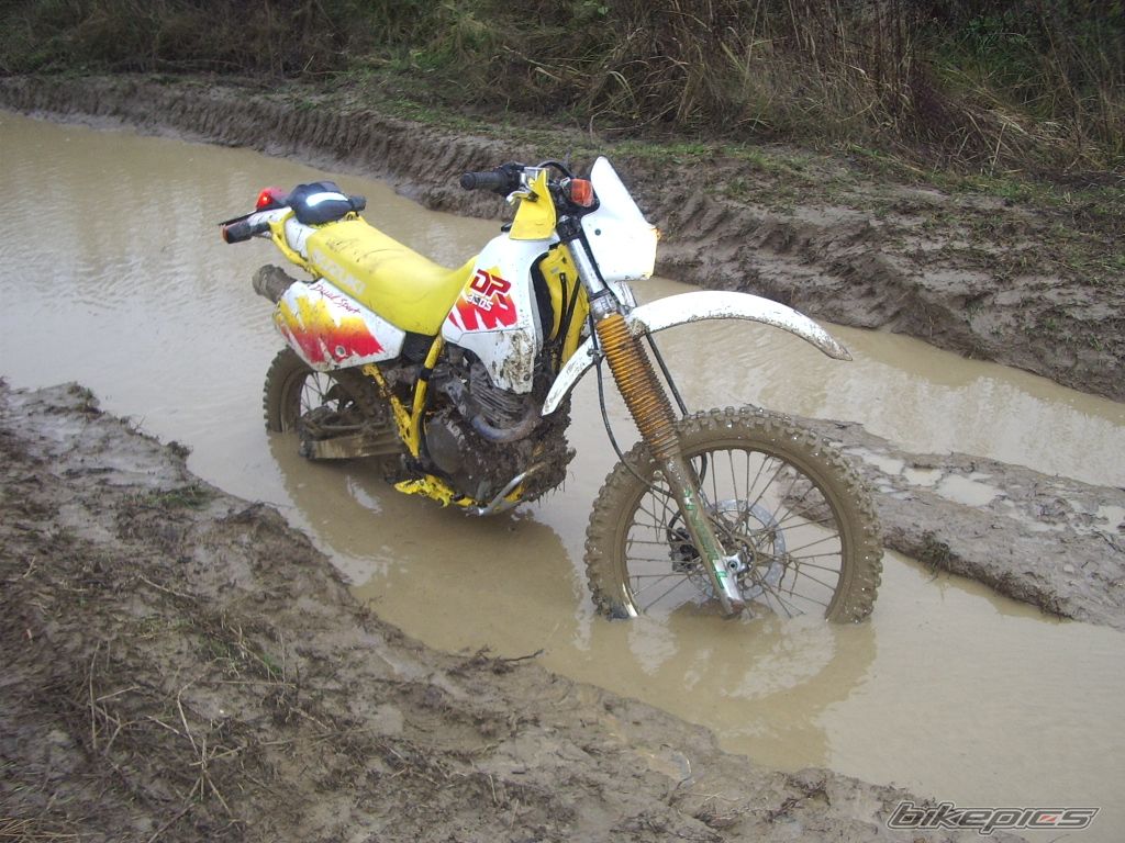 1991 SUZUKI DR 350 | Picture 814090 motorcycle photo