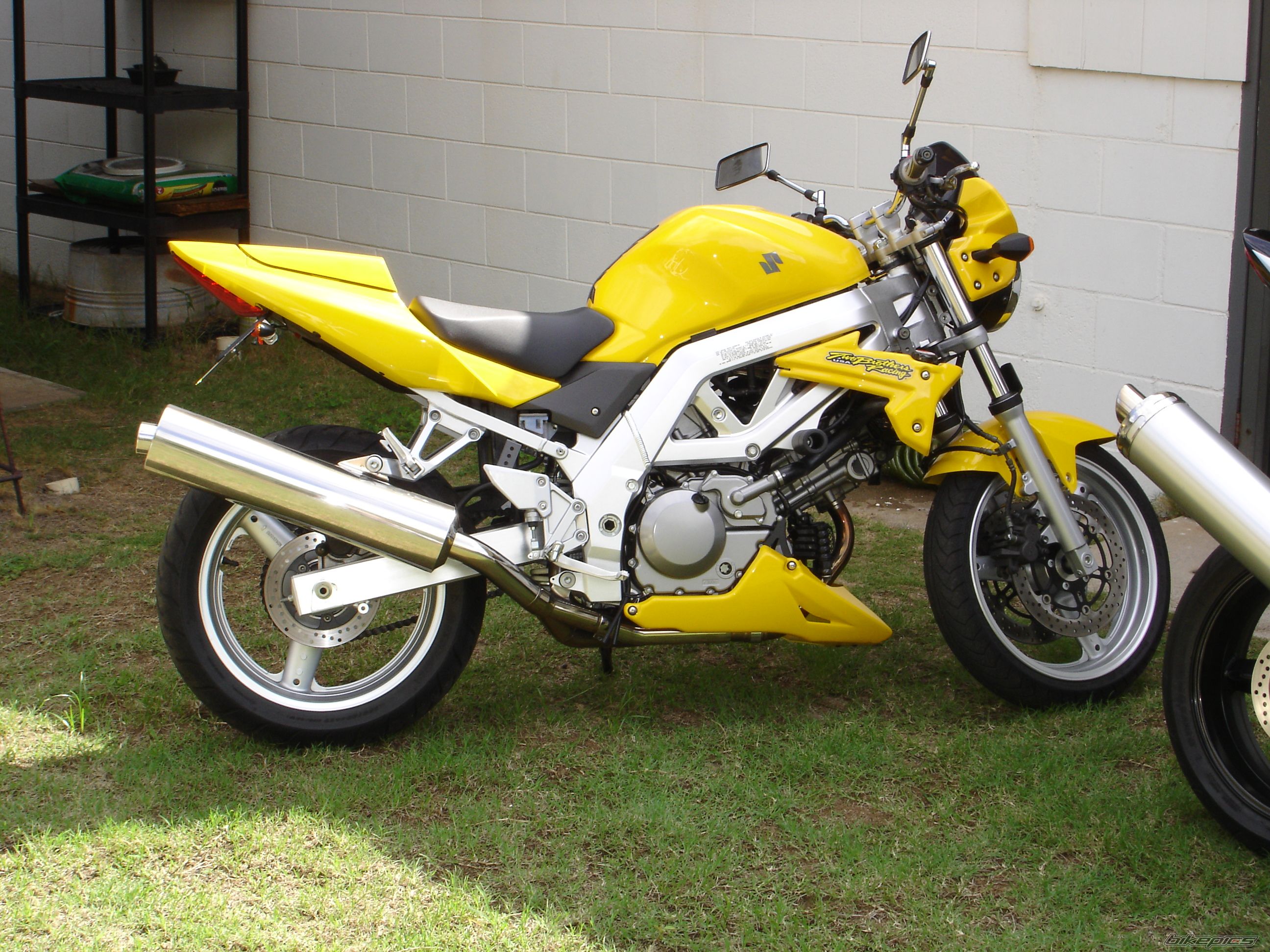 2004 SUZUKI SV 650 | Picture 814095 motorcycle photo