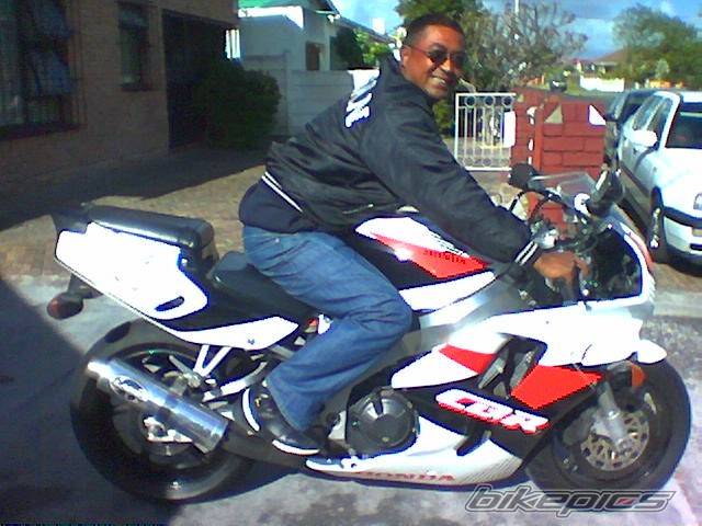 1994 HONDA CBR 900 | Picture 81413 motorcycle photo