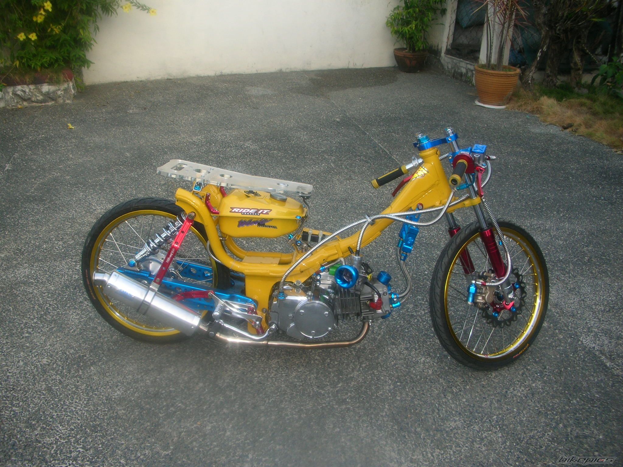 2007 HONDA HONDA C110 | Picture 814235 motorcycle photo