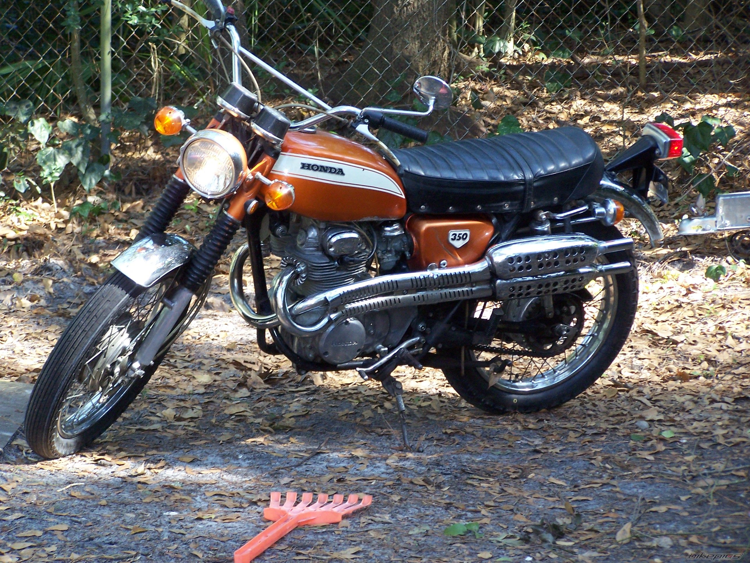 1970 HONDA CL 350 | Picture 814429 motorcycle photo