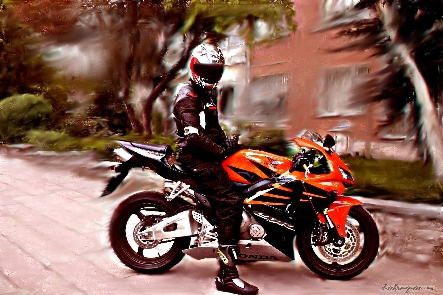 2006 HONDA CBR 600 | Picture 814674 motorcycle photo