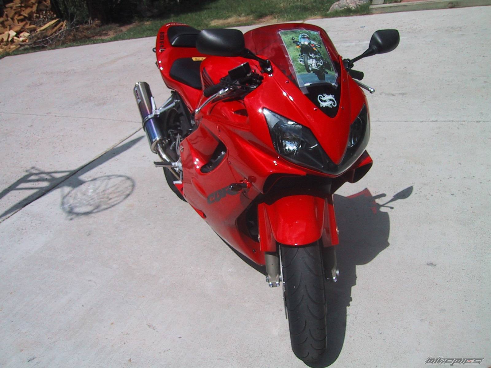 2001 HONDA CBR 600 | Picture 81517 motorcycle photo