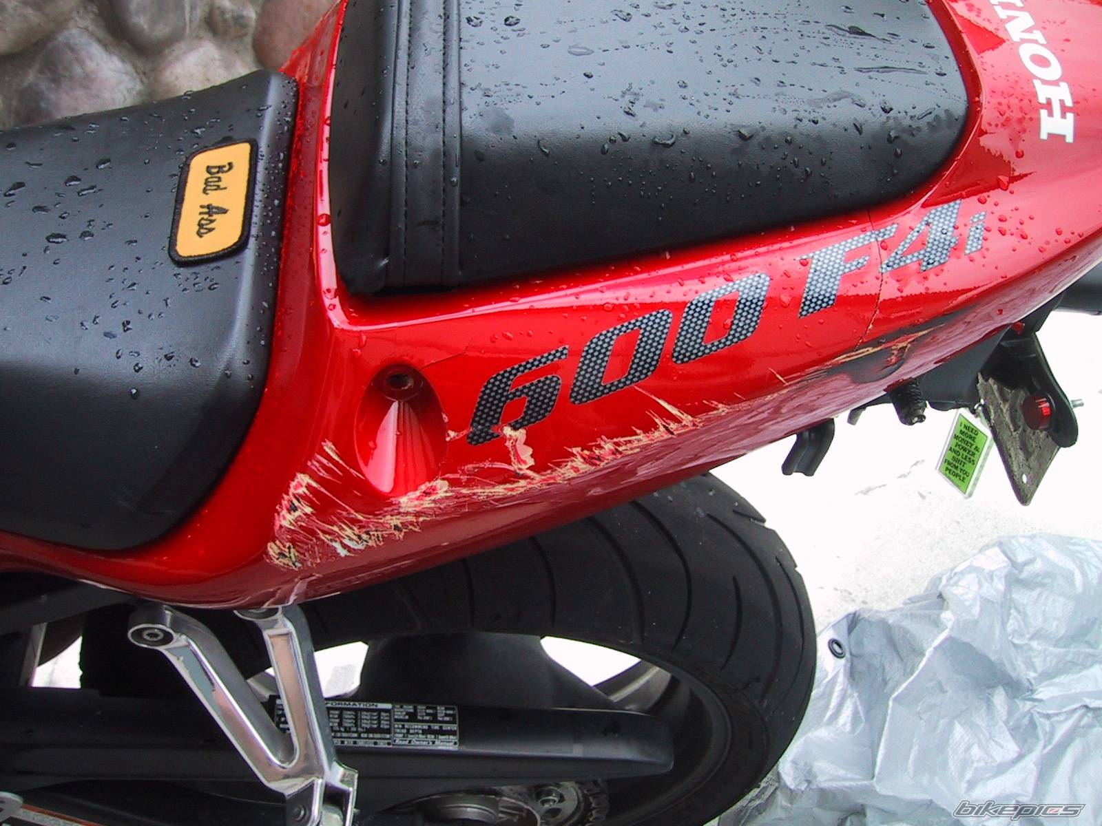 2001 HONDA CBR 600 | Picture 81531 motorcycle photo