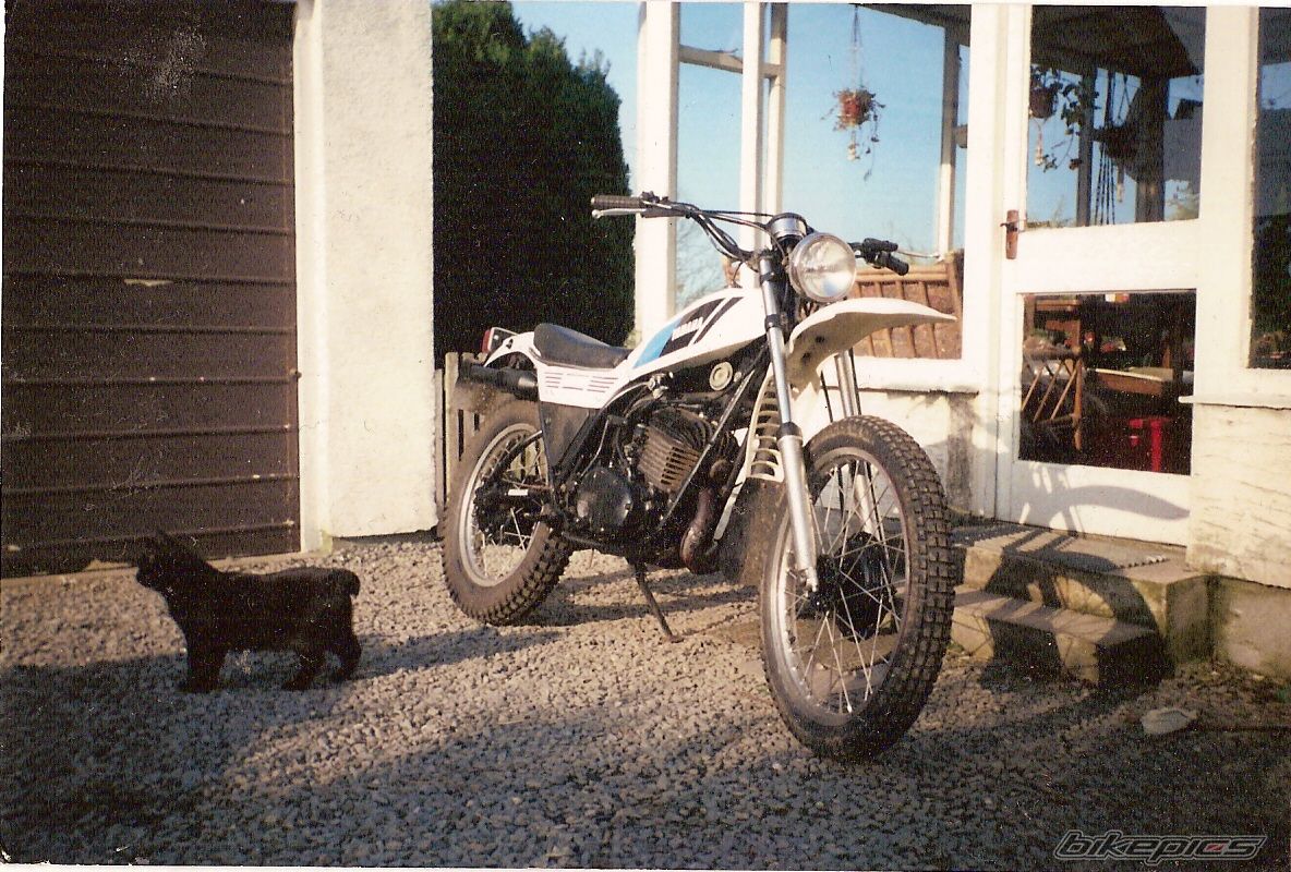 1978 YAMAHA DT 400 | Picture 815972 motorcycle photo