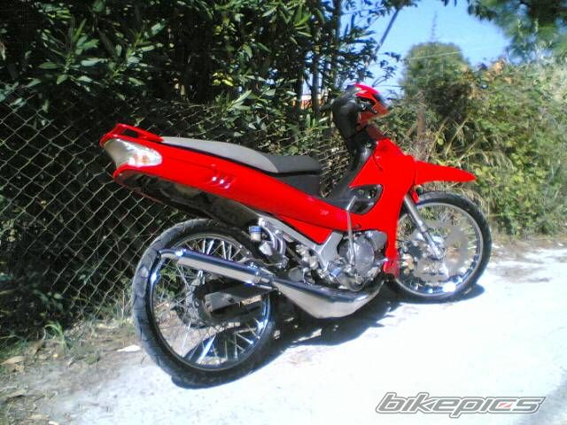 2007 YAMAHA Z 125 | Picture 816310 motorcycle photo