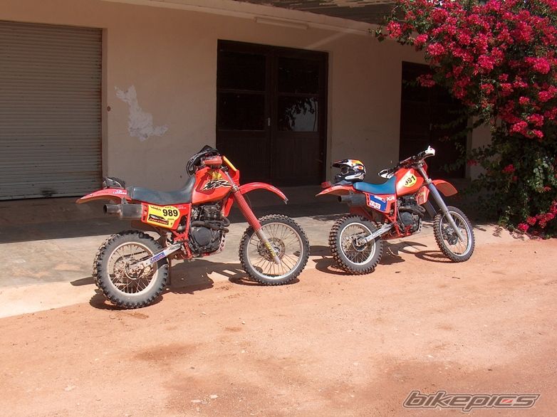 1987 HONDA XR 500 | Picture 816357 motorcycle photo